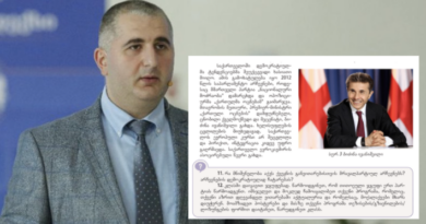 В «Мечте» прокомментировали раздел в учебнике истории посвященный Иванишвили