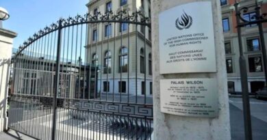 В ООН призвали парламент Грузии отозвать инициативу об упразднении Службы госинспектора