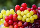 10 удивительных плюсов винограда для здоровья