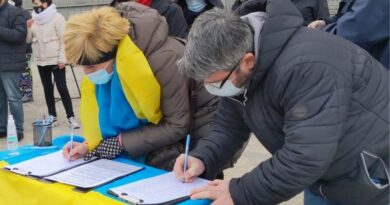 «Альтернатива» парламентской резолюции — В Грузии собирают подписи к петиции в поддержку Украины
