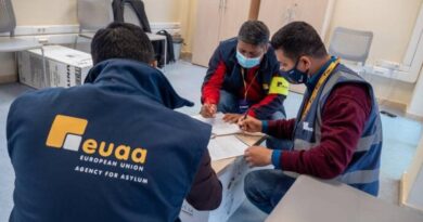 EUAA: За месяц 1 680 граждан Грузии подали заявку на убежище в странах ЕС