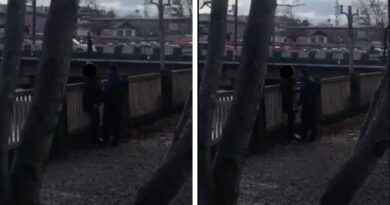 Генинспекция МВД Грузии изучает видеозапись насилия над женщиной