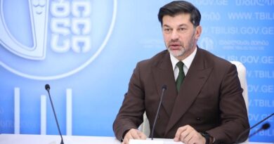 Мэр Тбилиси: «Важно, чтобы миру в Украине ничего не угрожало»