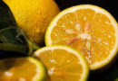 Плюсы и минусы лимонов для здоровья