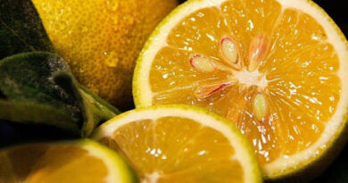 Плюсы и минусы лимонов для здоровья