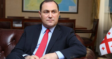 Посол: Грузия не будет участвовать во встрече платформы «3+3»
