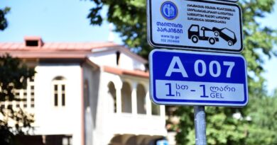 Систему зональной парковки внедрят в еще трех районах Тбилиси