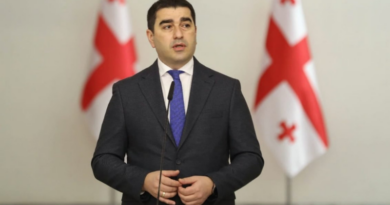Спикер парламента Грузии проведет встречи в Брюсселе