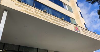 В Грузии объявили забастовку социальные агенты