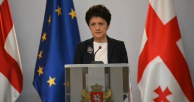 В Грузии потребовали отставки министра культуры