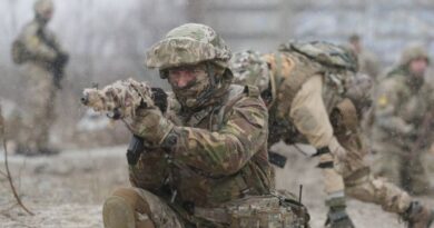 WSJ: Германия запретила Эстонии поставлять Украине оружие немецкого производства