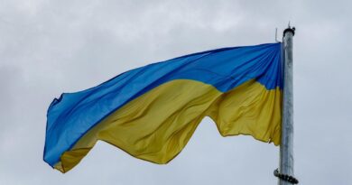 73 страны и 9 международных организаций поддержали Украину