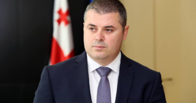 Бизнес-омбудсменом Грузии назначен Отар Данелия