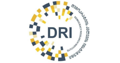 DRI призывает власти Грузии адекватно реагировать на вызовы безопасности
