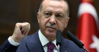 Эрдоган: Турция считает недопустимой войну России против Украины