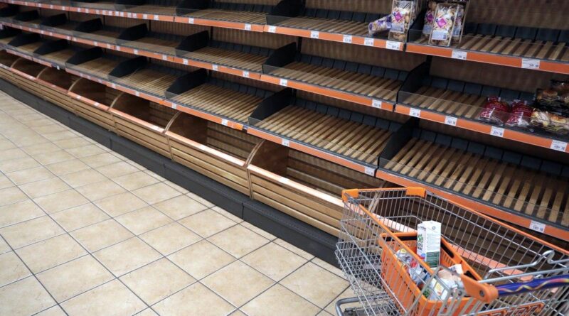 Где купить продукты 28 февраля: график работы супермаркетов