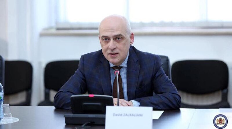 Глава МИД Грузии о причинах отказа поддержать антироссийские санкции