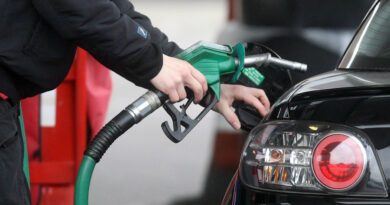 Глава Минфина Грузии прокомментировал рост цен на топливо