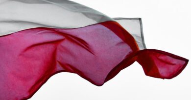 Информация для беженцев в Польшу: условия и список документов