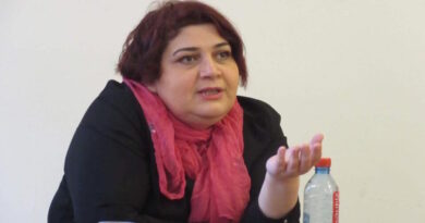 «Легальная база для уже существующих ограничений» — Азербайджанская журналистка о новом «Законе о медиа»