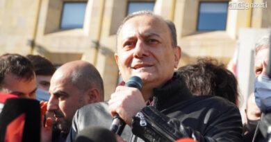 Лидер грузинских «лейбористов» о планах создать комиссию по расследованию деятельности Иванишвили