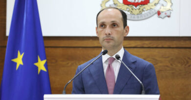 Министр экономики Грузии обещает обеспечить всех беженцев квартирами в течении двух-трех лет