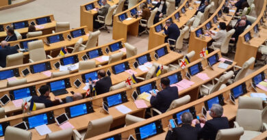 Парламент Грузии принял резолюцию в поддержку Украины, без упоминания России