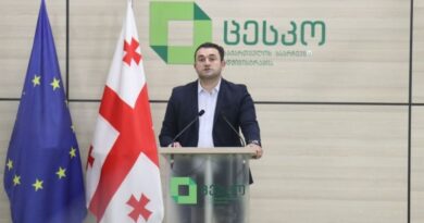 Парламент Грузии утвердил кандидата на должность председателя ЦИК