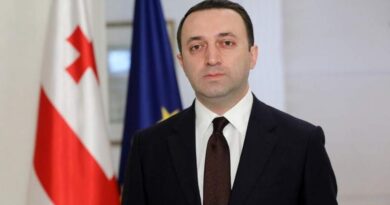 Премьер Грузии: «Мы твердо поддерживаем суверенитет и территориальную целостность Украины»