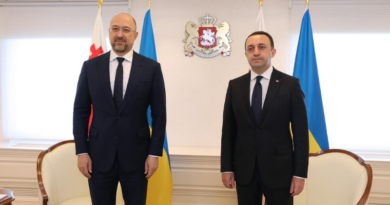 Премьер Украины призвал Гарибашвили разрешить отправку рейса с добровольцами