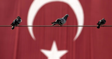 Турция желает изменить вариант написания названия страны на «Türkiye»