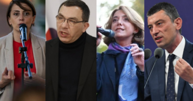 В оппозиции назвали «позорным» заявление премьера Грузии по Украине
