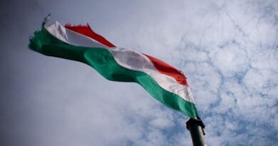 Венгрия отказалась помогать Украине защищаться от РФ