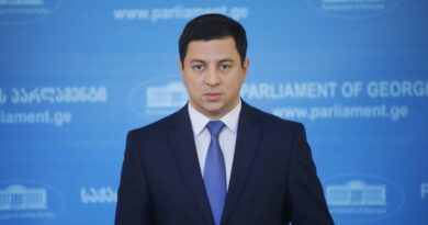 Вице-спикер Парламента Грузии примет участие в церемонии поднятия флага в посольстве Украины