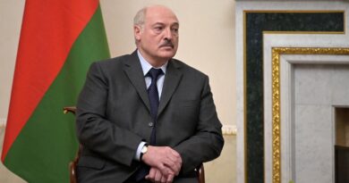 Зеленский о разговоре с Лукашенко: договорились о встрече с российской стороной в районе реки Припять