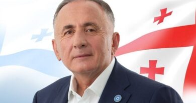 Член «Мечты» заявил, что Грузия выполнила все условия для вступления в ЕС