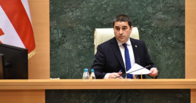 Спикер парламента Грузии призвал депутата, выступавшего на украинском, перейти на грузинский