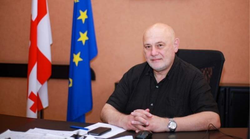 Член «Грузинской мечты» недоволен заявлениями правительства Украины