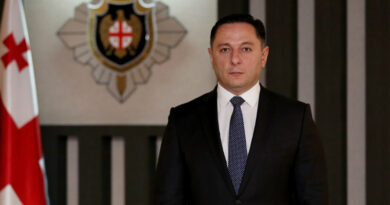 Глава МВД Грузии об отказе во въезде журналисту «Дождя» Михаилу Фишману