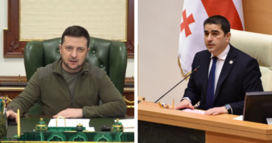 Спикер Парламента Грузии о приглашении Зеленского — «Мы не собираемся проявлять никакой инициативы»