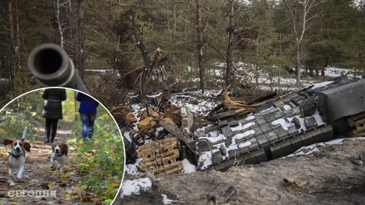 Украинцам запретили гулять в лесах и лесополосах - указ президента