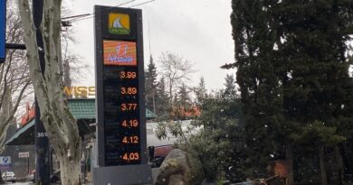 Цены на топливо в Грузии достигли исторического максимума — более 4 лари за литр