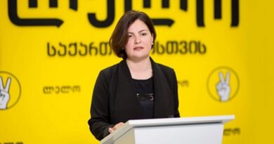 Депутат: Власти желают наказать президента Грузии за ее позицию по Украине