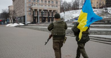 Добровольцы смогут получить гражданство Украины