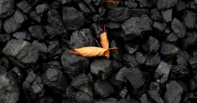 ДТЭК начал импорт угля из Польши для поддержки энергосистемы