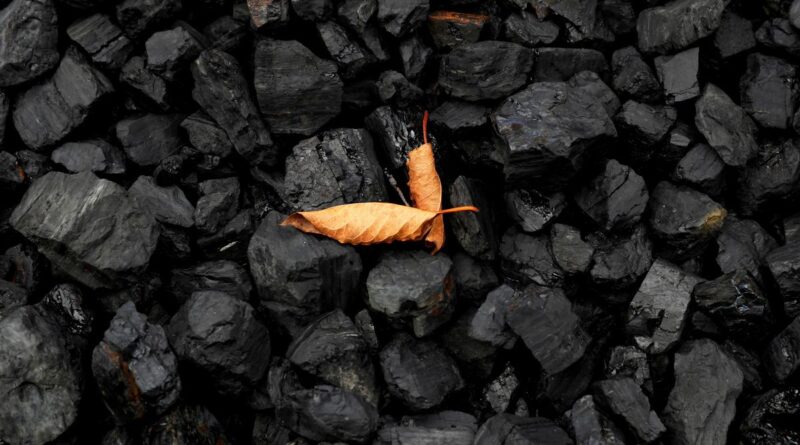 ДТЭК начал импорт угля из Польши для поддержки энергосистемы