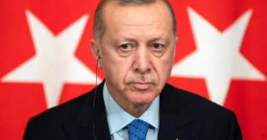 Эрдоган попробует убедить Путина остановить войну потив Украины и начать переговоры