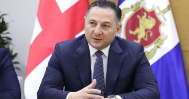 Глава МВД Грузии: Из 20 100 граждан, приехавших из РФ, 3 000 сейчас находятся в стране