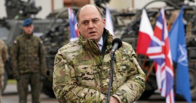 Минобороны Британии поддержит Польшу в вопросе об истребителях для Украны
