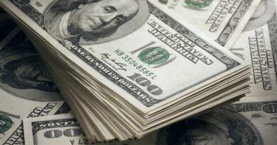 Нацбанк Грузии продал доллары для поддержания курса лари
